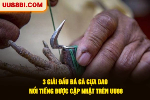 3 giải đấu đá gà cựa dao nổi tiếng được cập nhật trên UU88