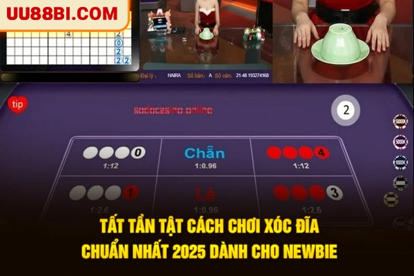 Tất tần tật cách chơi xóc đĩa chuẩn nhất 2026 dành cho Newbie