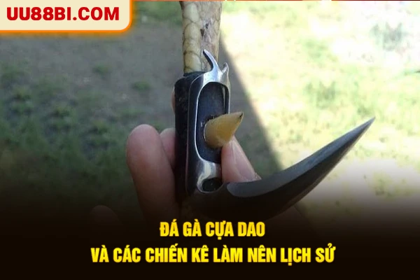 Đá gà cựa dao và các chiến kê làm nên lịch sử
