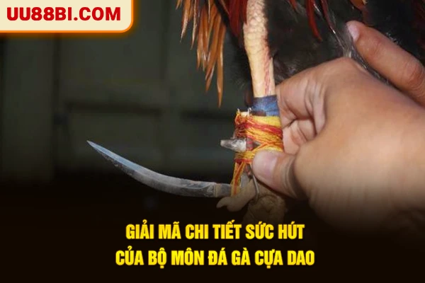 Giải mã chi tiết sức hút của bộ môn đá gà cựa dao