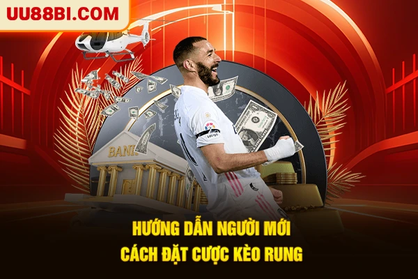 Hướng dẫn người mới cách đặt cược kèo rung