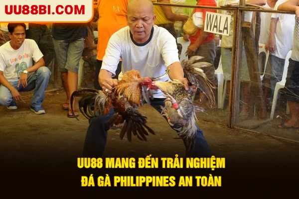 Đá Gà Philippines - Đỉnh Cao Giải Trí Chuẩn Quốc Tế 2026 4 UU88 mang đến trải nghiệm đá gà Philippines an toàn